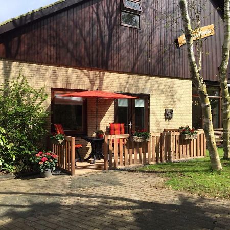 De Vier Berken 2 Bed & Breakfast De Koog  Luaran gambar
